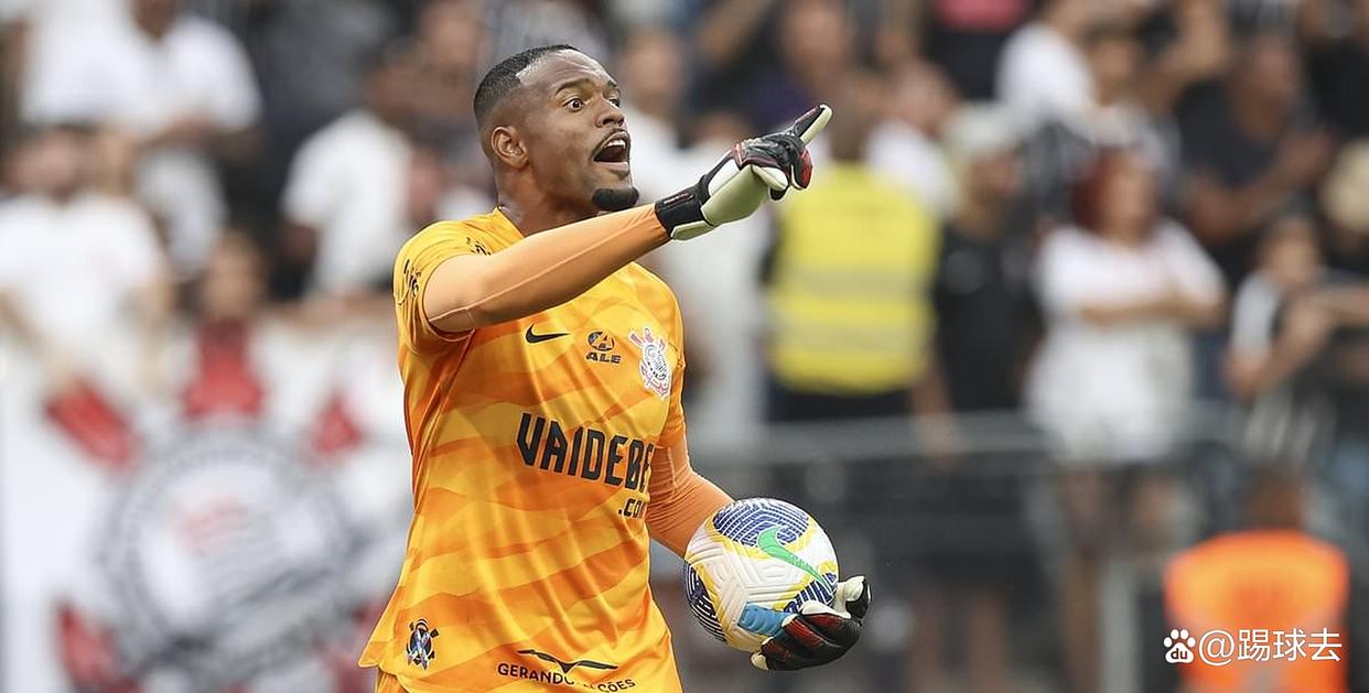 熊猫体育官方-斯托克城客场不敌埃弗顿，实力暴露问题需解决